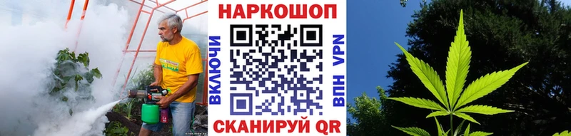 Как найти закладки Сураж Кокаин  Марихуана  Амфетамин  СК  Псилоцибиновые грибы  МЕФ  Гашиш 