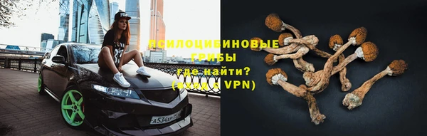 бошки Арсеньев
