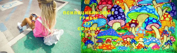 бошки Арсеньев