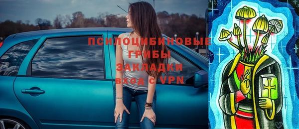 бошки Арсеньев
