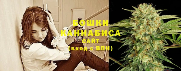 бошки Арсеньев