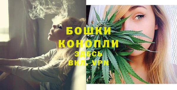 бошки Арсеньев